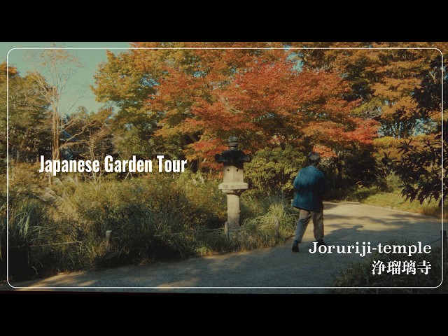 (VLOG) A 900-year-old Japanese garden. I went to see the garden at Joruri-ji Temple.