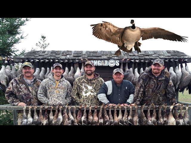 Hired to Hunt Season 2 #1 - Duck Hunting and Goose Hunting. Limit hunts in Alberta.