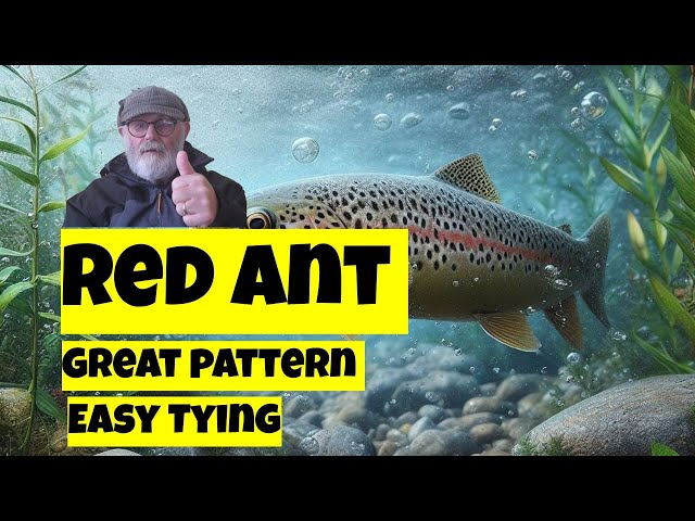 A very Effective Trout fly Easy tied (Red ant)