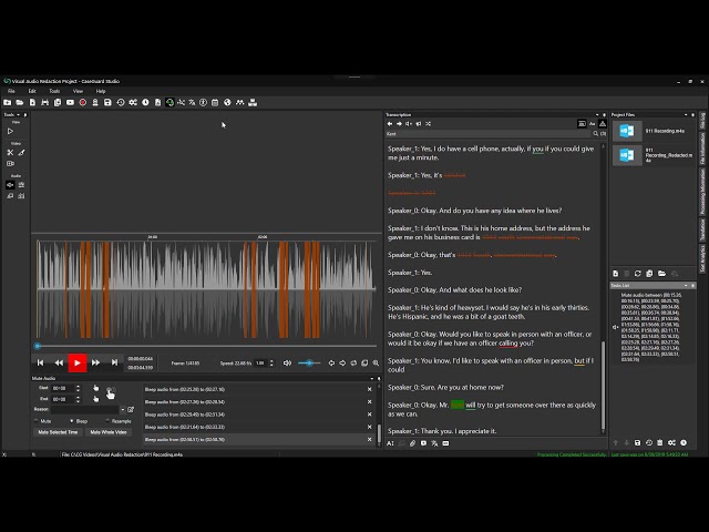 Audio Redaction Turned Visual | Audio Redaction Software