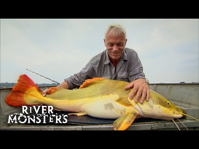 Jeremy Wade's UNEXPECTED and ACCIDENTAL Catches | River Monsters