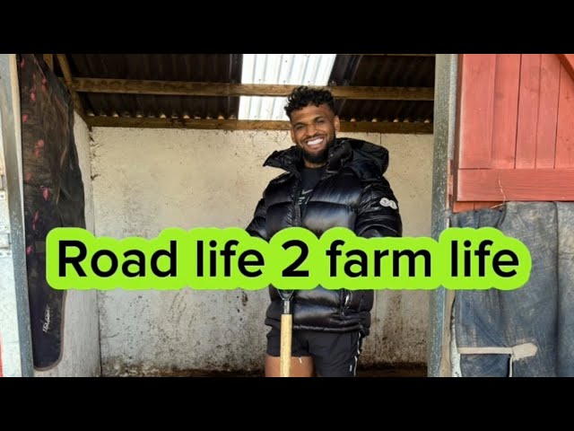 From road life to farm life: renovating my horse’s stable 😄😄 Jeremy clarkson watch out 🤣