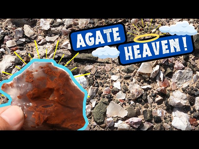 Rockhounding for Crazy Pigeon Blood Agates in Utah!