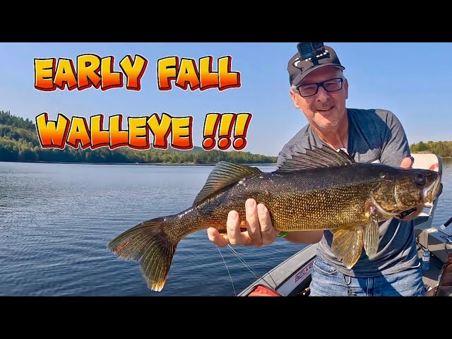 The Hunt for Early Fall Walleye !!! #livescope #walleye #northernontario