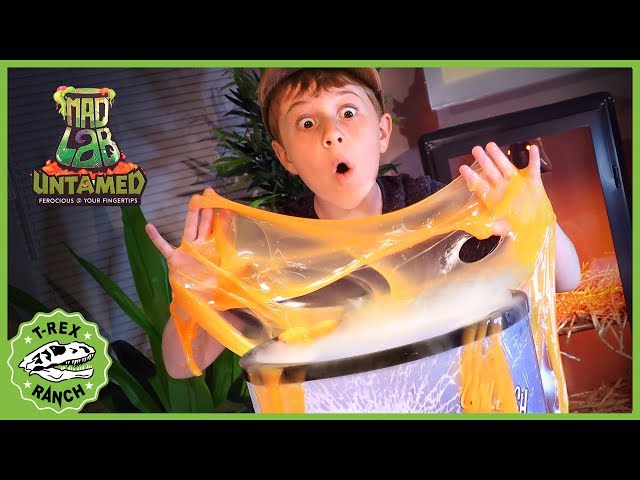 Dinosaurs & Untamed Mad Lab Minis! Giant Golden Dragon Egg, Mystery Toys & T-Rex Dinosaur Escape