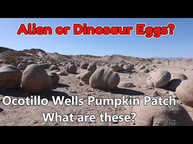 EarthRoamer Adventures - Jeep 4X4 Newbies go to Ocotillo Wells Pumpkin Patch