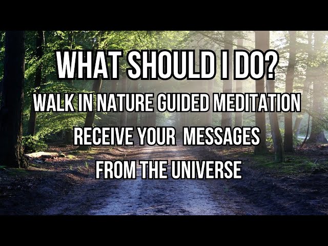 Walk in Nature Guided Meditation: Receive Clarity Over Life