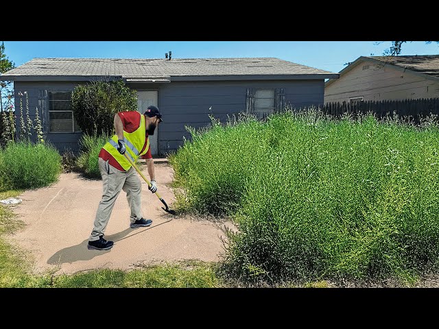 Hospitalized Man Faces EVICTION Over MASSIVELY OVERGROWN Yard - He NEEDS OUR HELP!