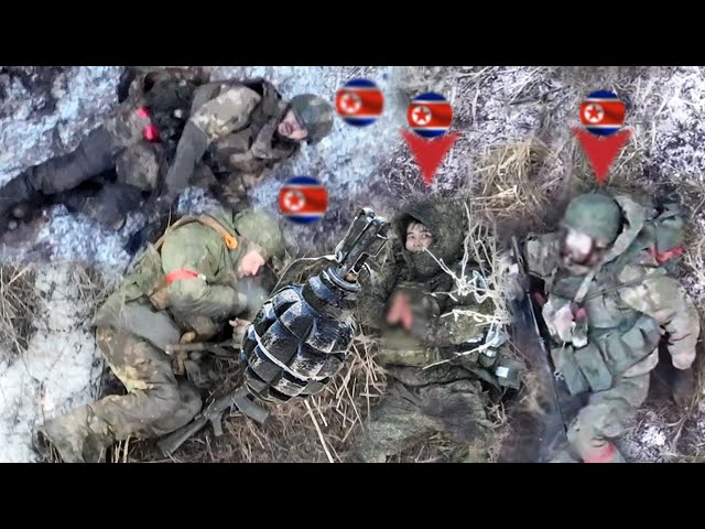 Ukrainian FPV drones mercilessly wipe out a group of battered North Korean soldiers in Kursk