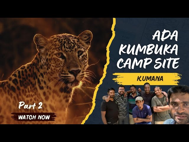 Kumana Unplugged: Surviving the Wild for 3 Days| Day 2 Adventures