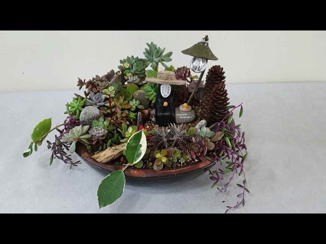 다육이 미니정원 예쁘게 만드는 방법!!  분갈이후 물주는방법.｜How to make the fleshy mini garden beautifully !!