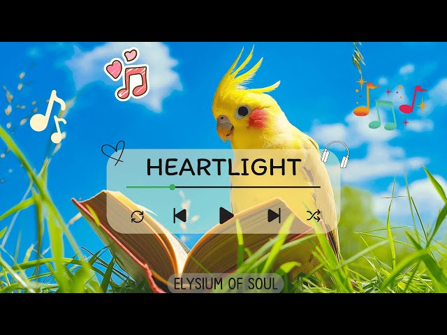 Elysium of Soul - Heartlight 💖