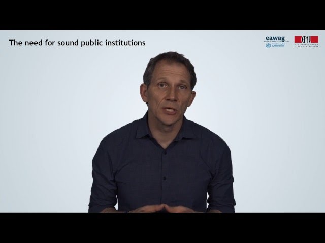 2.2 The role of the public sector