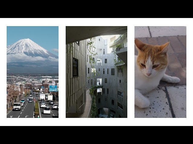 Hidden Courtyard Oasis in Tokyo – A Design Marvel by Hiroyuki Ito Architects