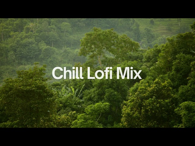 Chill Lofi Mix | Vol. 2 [chill lo-fi hip hop beats]