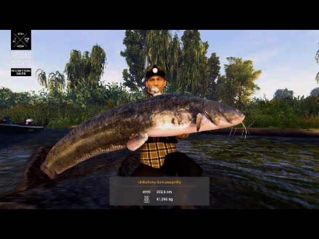 Unique Wels Catfish - Dnipro River Ukraine - Fishing Planet