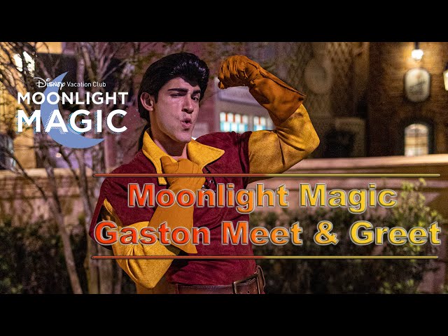 8K DVC Moonlight Magic Gaston Meet and Greet VR180 3D