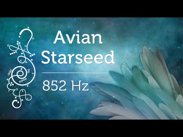 Avian Starseed 852 Hz Pleiadian Music Solfeggio Meditation Music Lightcode Activations Blue Avian