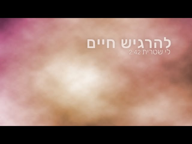 לי שטרית- להרגיש חיים