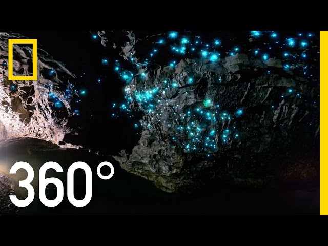 Glow Worm Caves of New Zealand in 360° | National Geographic