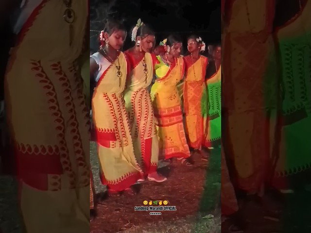 Baha Bonga Shorts | Santhali Baha Enej Video Short | 2024-25