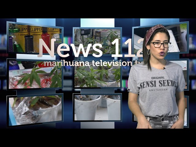 EL DEBATE de la MARIHUANA llega al SENADO Y CONGRESO. COPA del REY BOGOTÄ News 112