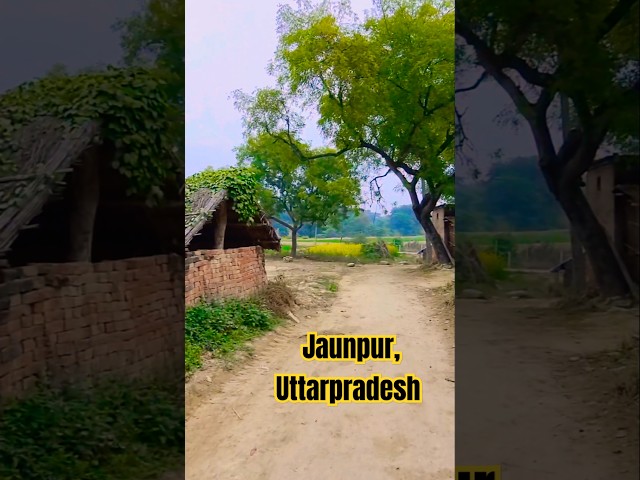 Ye hai Jaunpur #shorts #viralvideo #jaunpur #indianvillagelife