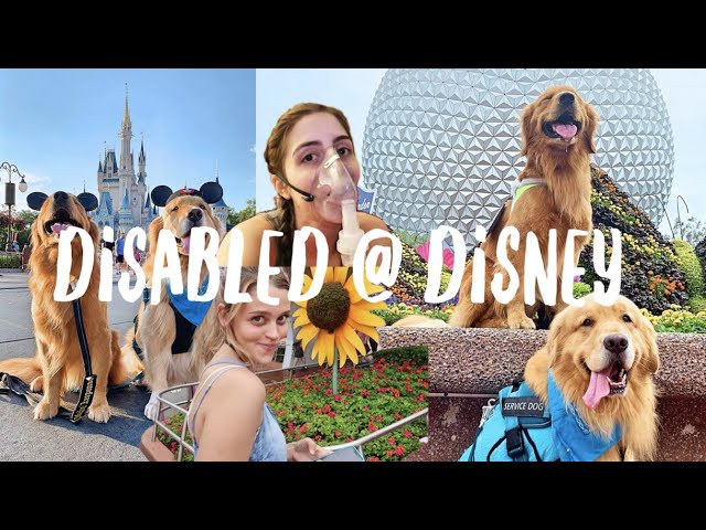 service dogs & invisible disabilities @ Disney World (ft. kinghenryofnashville)