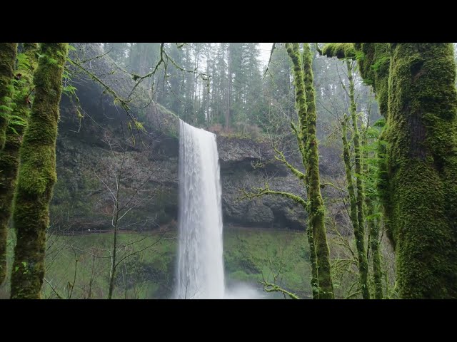 Waterfall Sound White Noise for Sleep, Relaxation | 2 Hours