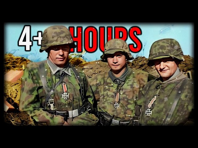 4+ Hours of Facts & Battles of the Waffen SS | World War II