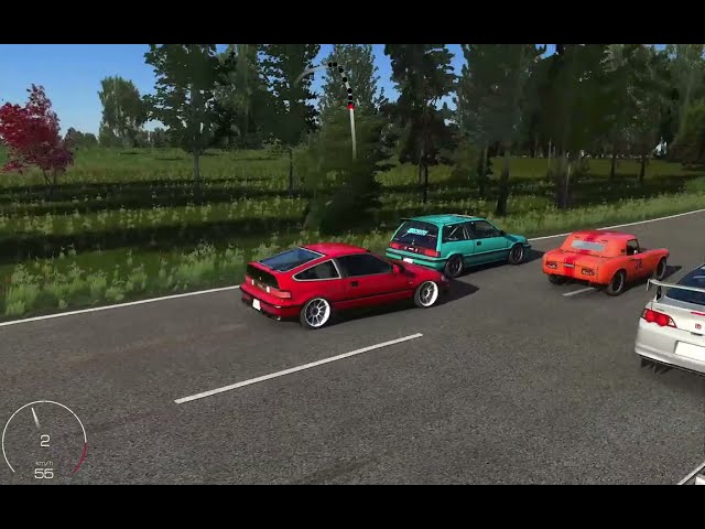 Assetto Corsa. Honda Meeting at Bruschied. Logitech G27