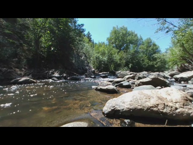 Serene Scenes - Water Study 4 - VR180 3D Virtual Reality - Arden