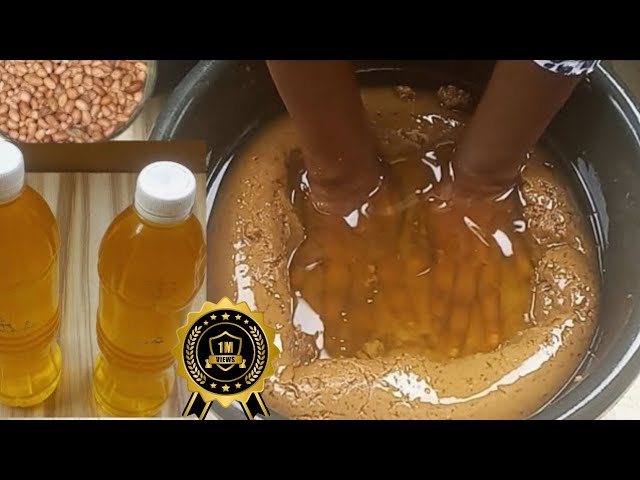 Traditional Way Of Making Groundnut Oil || Peanut Oil Making!