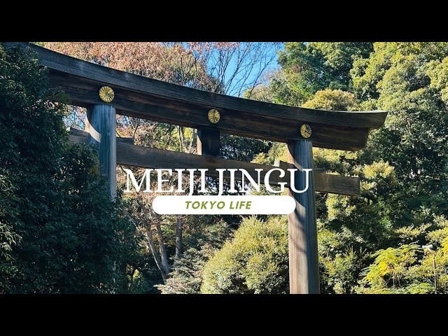 Exploring Meiji Jingu Shrine: Nature, Culture, and Japanese Traditions in Tokyo