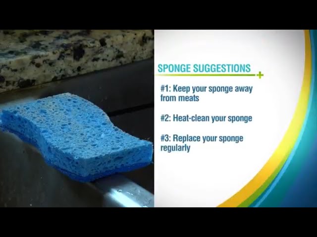 How Dirty is Your Kitchen Sponge? | Health + Happiness