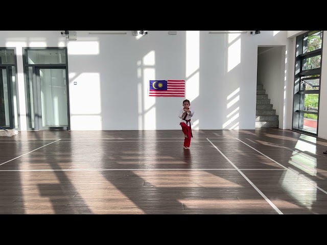 Taekwondo Malaysia Kids - Junior Black Belt 2 Pattern Geumgang