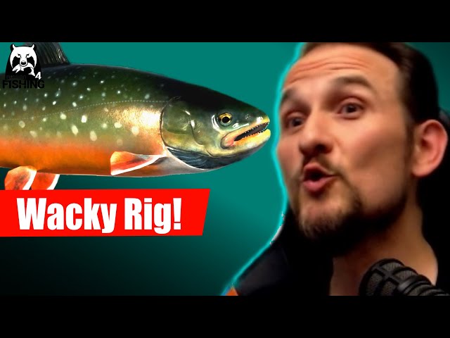 Russian Fishing 4 - Ladoga Archipel - Saiblinge auf Wacky Rig, Ludoga-Saibling, Klotzsaibling