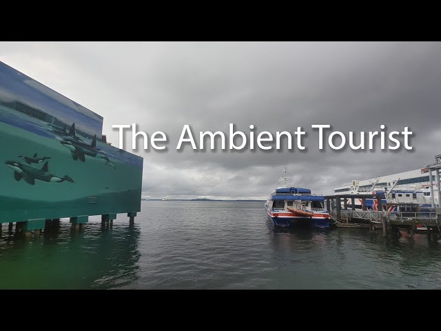 Relax and Chill on the Seattle Waterfront 360° VR 4k