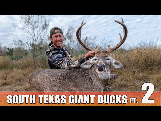 Massive Junkyard Buck Appears! - Hunting Giant Texas Whitetail pt. 2