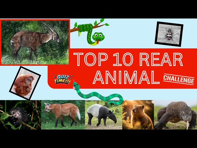 "Rare & Exclusive: 10 Animals Found Only in ONE Country!"#facts #quiz