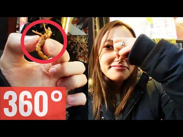 360 video Bug eating challenge Scorpions China Google Cardboard Samsung gear VR Box 4K