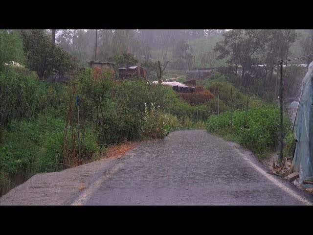 Best heavy rain sounds for insomnia and sleeping, relaxing lullaby white noise ASMR