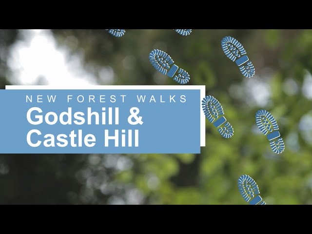 New Forest walks: Godshill and Castle Hill