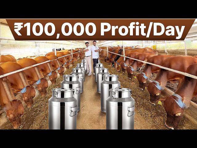 15 करोड़ का फार्म🐮3 CRORE PROFIT💯200 Cows का Dairy Farm | Indian Farmer