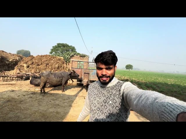 iPhone vlog trader village life @SandeepBaghelVlogs  #iphone #trader #vlog #villagelife