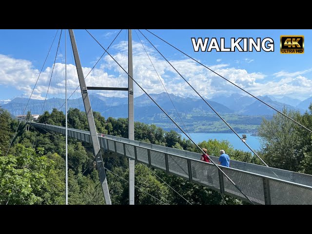 Sigriswil Panorama Bridge | Sigriswil Crashlanding on You #walking  #switzerland