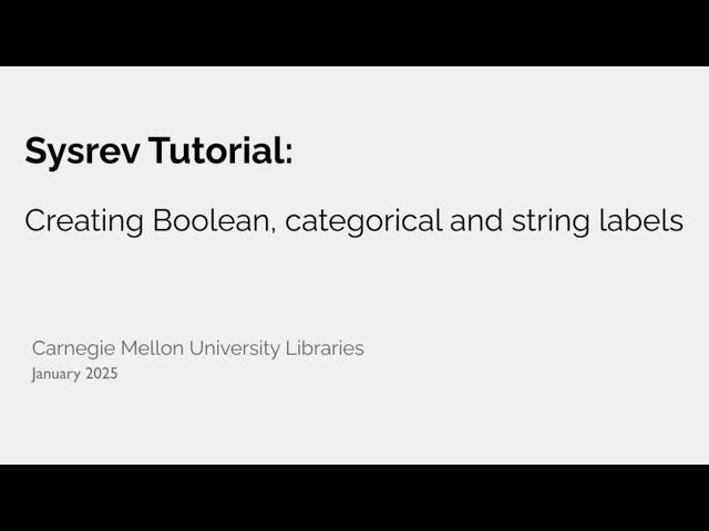 Creating Boolean, categorical and string labels (Sysrev tutorial)