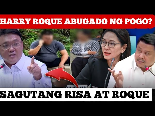 HARRY ROQUE DUMEPENSA SA POGO