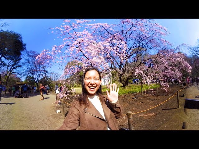 VR trip to Tokyo, Japan - Nagomi takes you to Rikugien