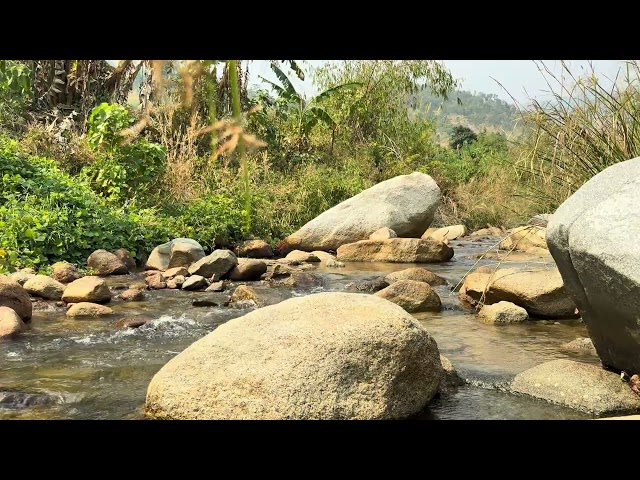 Water nature sounds relaxing music, Sleep Music, Meditation Music, Stress Relief Music Calm Music hd